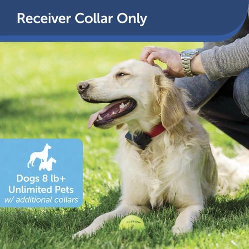 PetSafe® In-Ground Stubborn Pet Fence Receiver Dog Collar 3 PetSafe® In-Ground Stubborn Pet Fence Receiver Dog Collar - Image 3