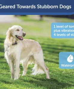 PetSafe® In-Ground Stubborn Pet Fence Receiver Dog Collar 15 PetSafe® In-Ground Stubborn Pet Fence Receiver Dog Collar -Doors, Windows & Millwork Sales PRF 275 19 PT04