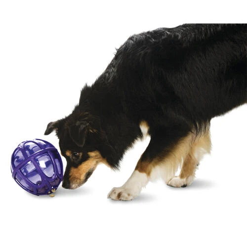 PetSafe® Busy Buddy® Kibble Nibble Dog Toy 1 PetSafe® Busy Buddy® Kibble Nibble Dog Toy
