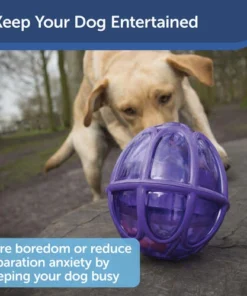 PetSafe® Busy Buddy® Kibble Nibble Dog Toy 11 PetSafe® Busy Buddy® Kibble Nibble Dog Toy -Doors, Windows & Millwork Sales PTY00 13738 PT03