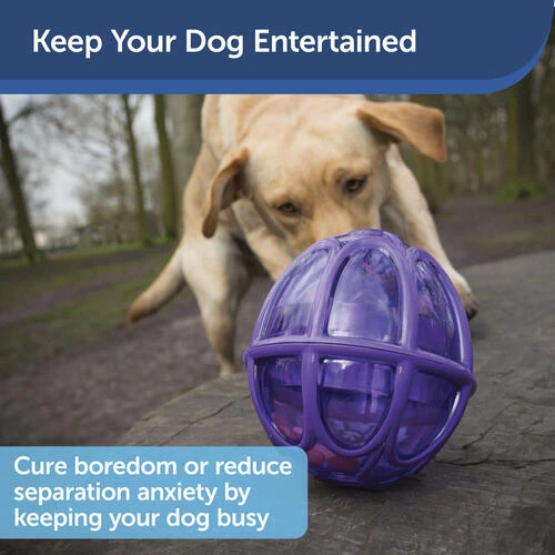 PetSafe® Busy Buddy® Kibble Nibble Dog Toy 4 PetSafe® Busy Buddy® Kibble Nibble Dog Toy - Image 4