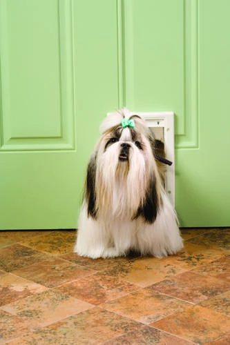 PetSafe® 7-1/2" X 11" Small White Plastic Pet Door 2 PetSafe® 7-1/2" X 11" Small White Plastic Pet Door - Image 2