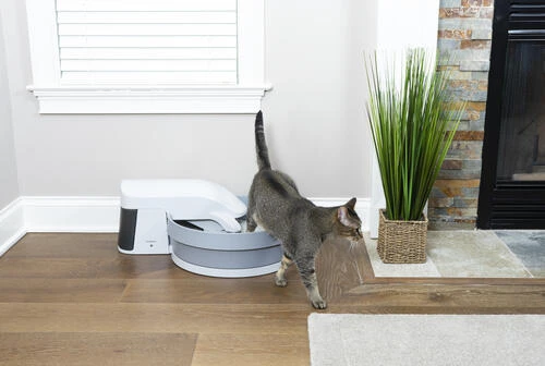 PetSafe® Simply Clean® Automatic Cat Litter Box 4 PetSafe® Simply Clean® Automatic Cat Litter Box - Image 4